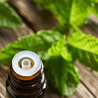 Les huiles essentielles à l'extérieur