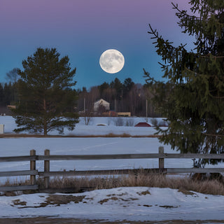 C'est la pleine lune du loup!!