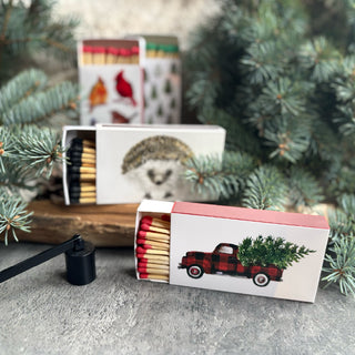 Matchbox - Birds of America