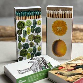 Boîte d'allumettes - Forêt d'arbres - Petiole™