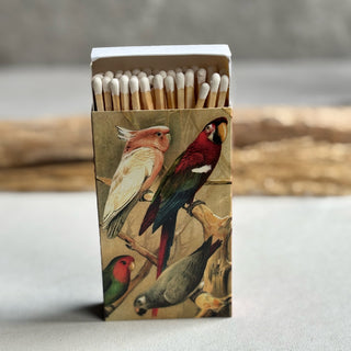 Boîte d'allumettes - Perroquets - Petiole™