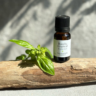 Basilic tropical - Huile essentielle - Petiole™
