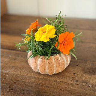 Mini pot - Citrouille