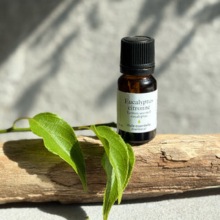 Eucalyptus citronné - Huile essentielle - Petiole™