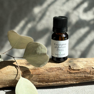 Eucalyptus globuleux - Huile essentielle - Petiole™
