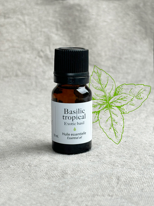 Basilic tropical - Huile essentielle