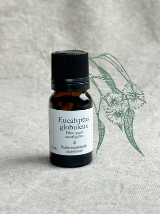 Eucalyptus globulus - Essential oil