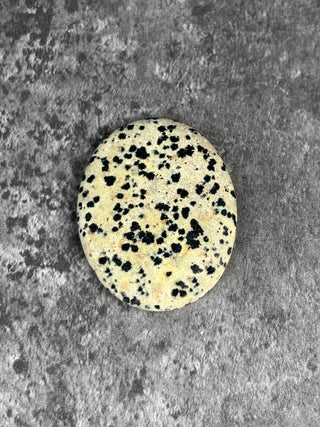 Dalmatian Jasper - Worry Stone