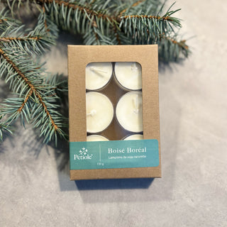 Lampions · Boisé boréal