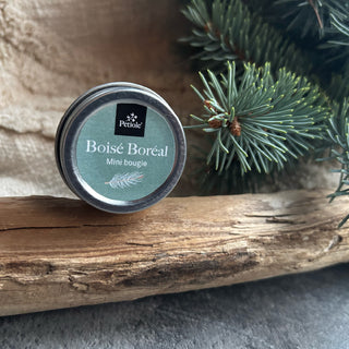 Mini bougie Boisé Boréal