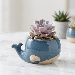 Mini pot - Baleine