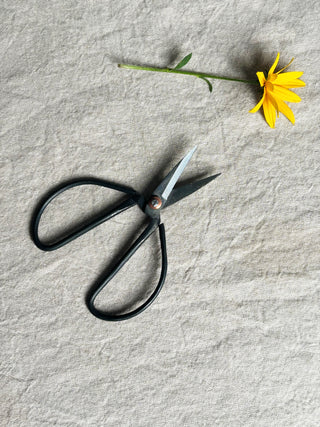 Small garden scissors